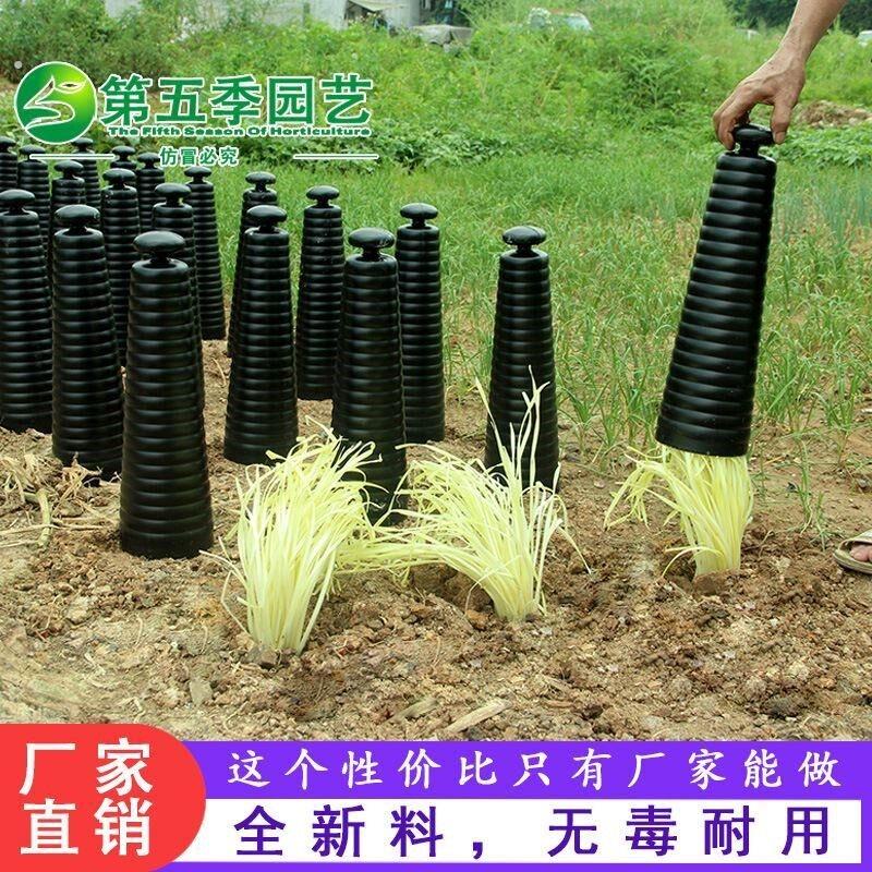 做韭黄蒜黄用的塑料桶楼顶套子韭菜黄罩韭黄专用种植筒外罩防晒