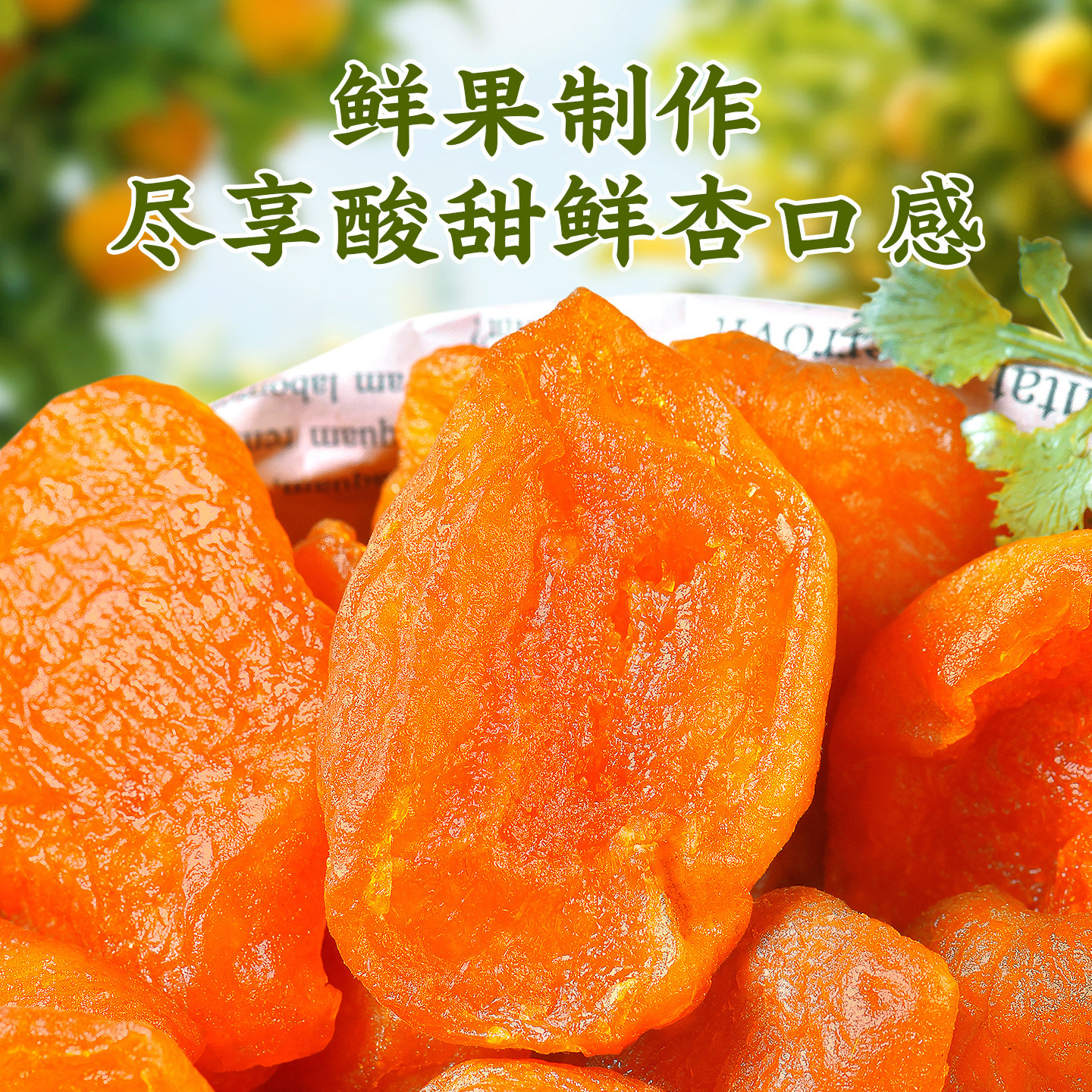 加佳甜红杏干102g无核杏肉酸甜杏果干杏脯孕妇零食解馋蜜饯水果干