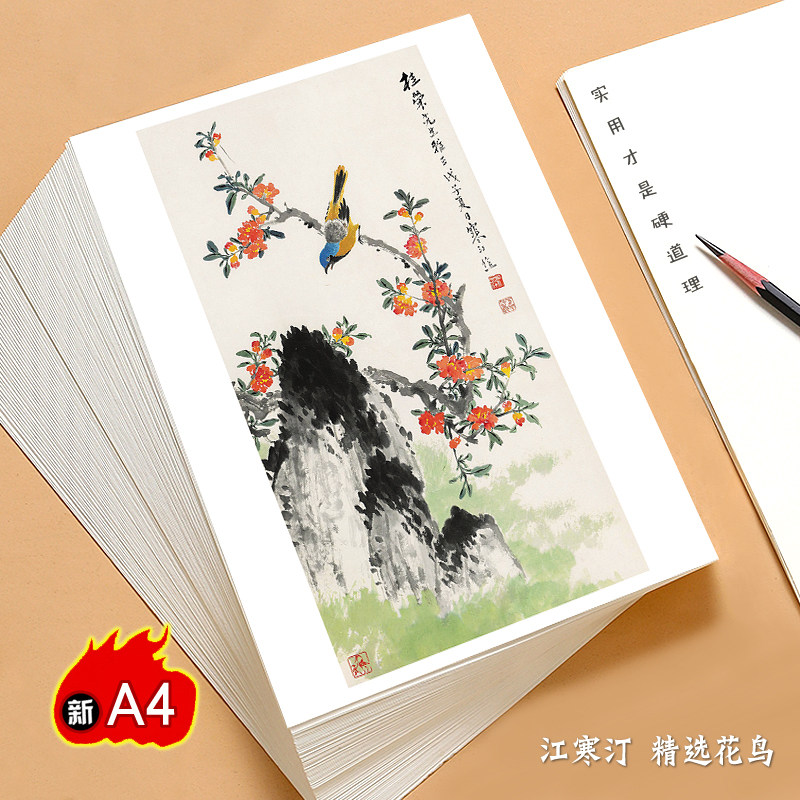A4国画临摹卡江寒汀精选花鸟大师级水墨绘画入门培训教学全套24张中国风高清印刷铜版纸优选精美