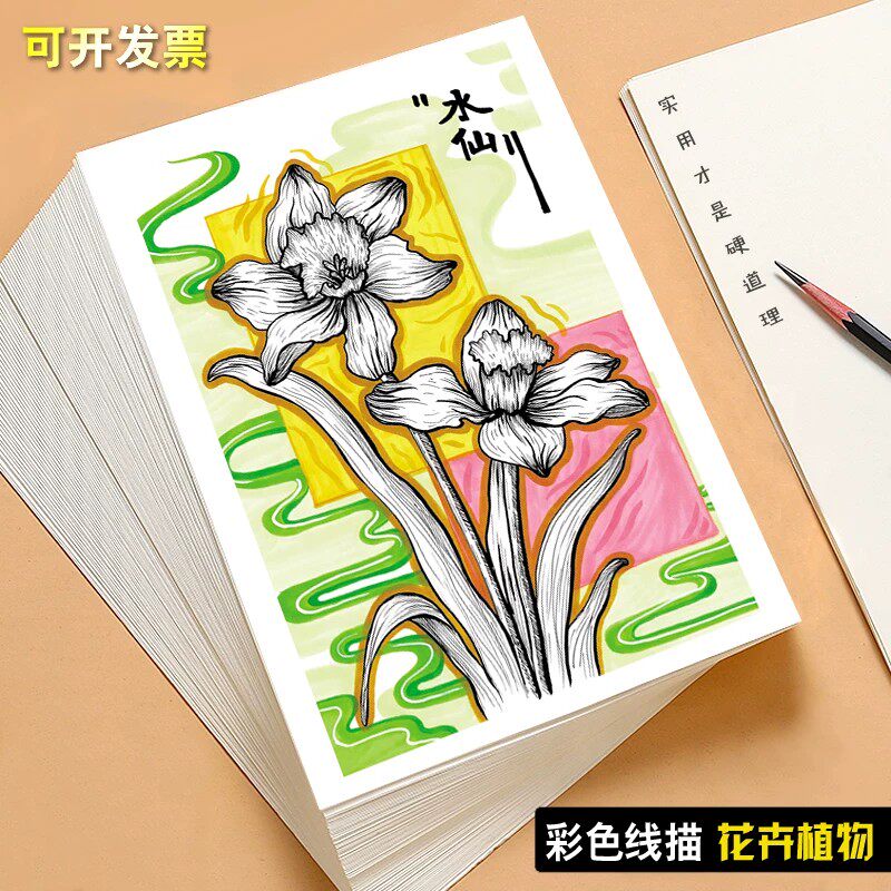 彩色线描画花卉植物静物步骤版 写生临摹卡入门少儿创意美术32张高清印刷铜版纸花束植物精美创意