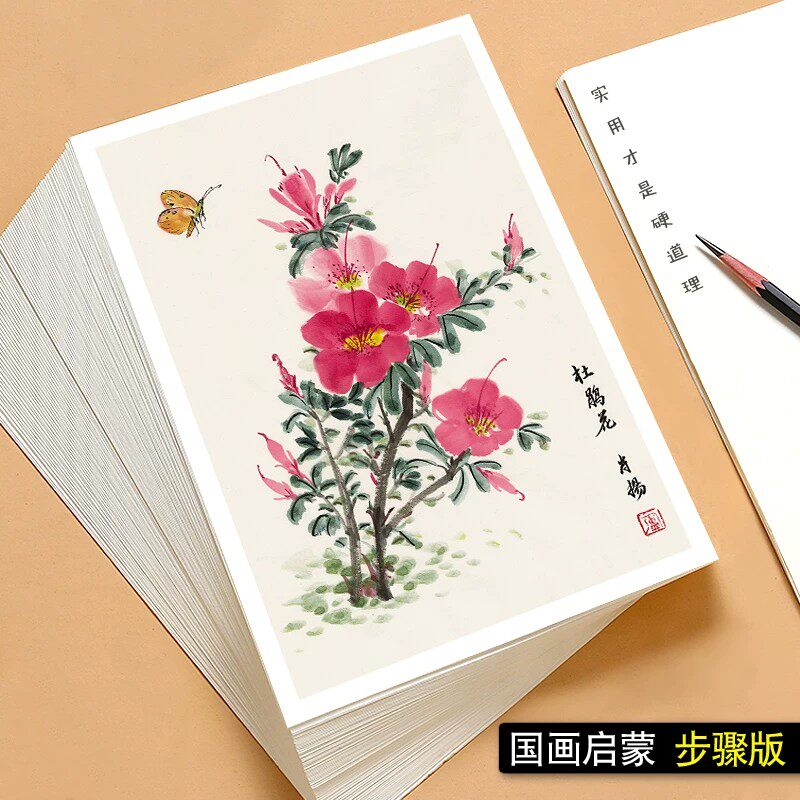 中国画入门临摹卡初学者国画启蒙步骤版少儿艺术培训教学全套32组高清印刷铜版纸入门教程中国风