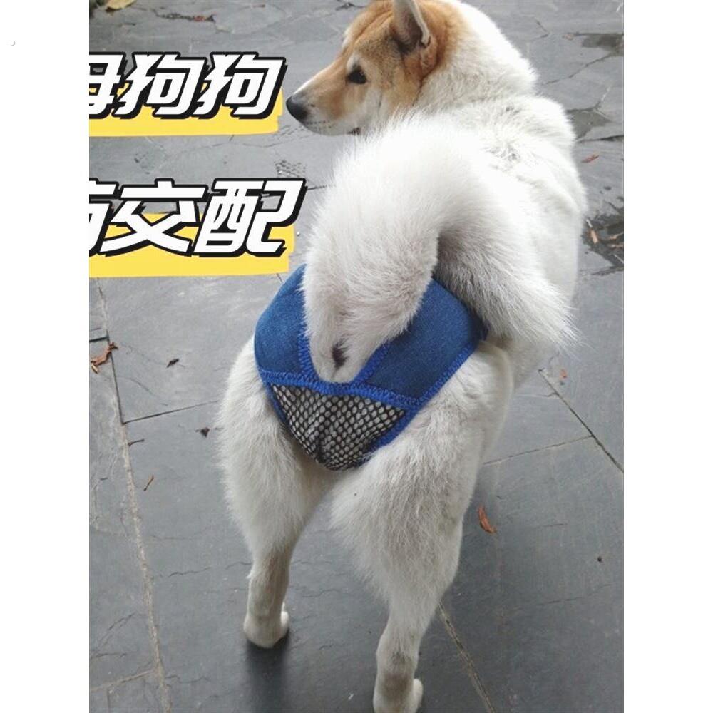 母狗防交配神器狗狗生理裤母狗狗宠物生理期安全裤发情小型犬防止