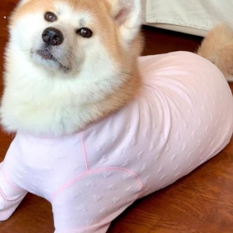 四脚狗衣服通用新款生理睡衣阿拉边牧犬狗服户外护肚可家居狗衣