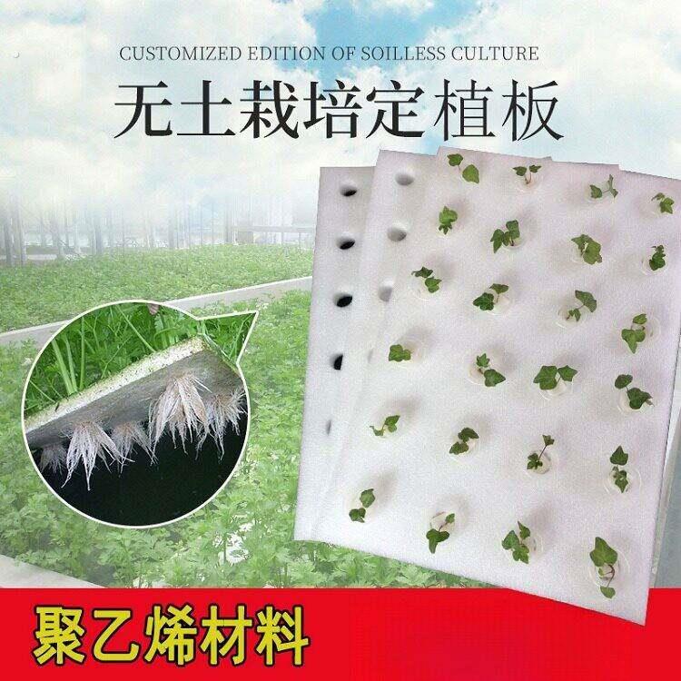 水培器皿漂浮板定植板无土栽培设备水上温室种菜水培泡沫板种植板