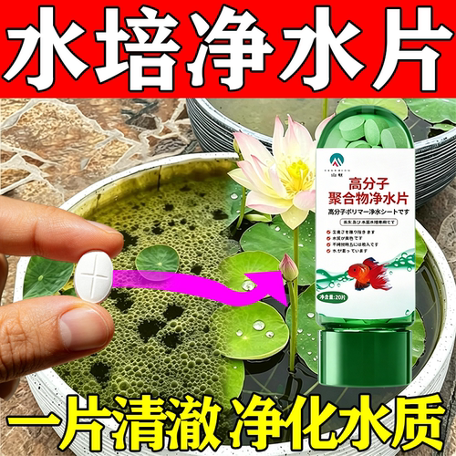 水培植物净水片除臭杀菌消毒青苔除藻净水剂碗莲睡莲醒鲜花保鲜剂