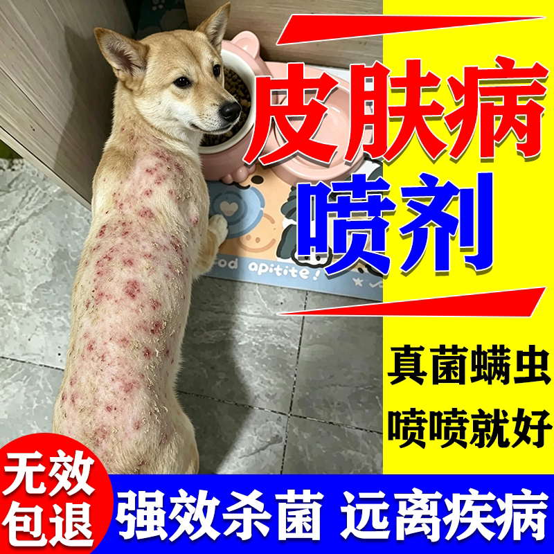 狗狗皮癣真菌感染特新效药专用皮肤喷剂脱毛红疹外用喷剂皮肤喷剂