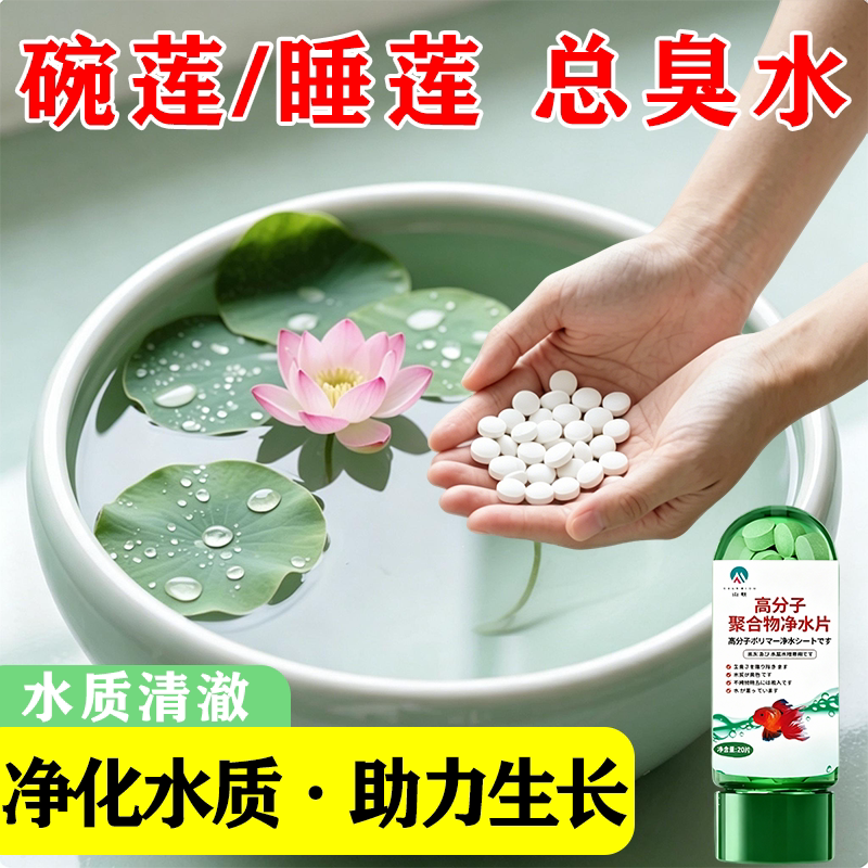 净水片水培植物澄清澈净化水质睡莲碗莲专用花瓶养花消毒清水通用