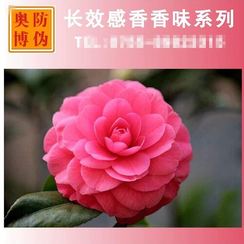 甄选新品油性丝网印刷香味油墨 UV香味光油 胶印长效香味油墨厂家