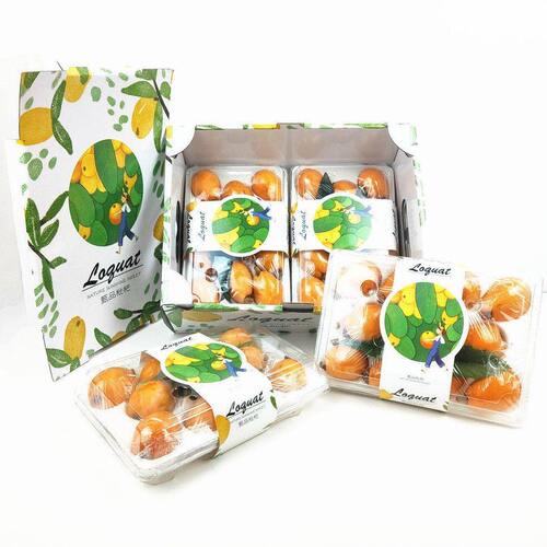 甄选新款枇杷防撞防震保鲜快递包装盒枇杷礼品盒商超枇杷包装盒枇