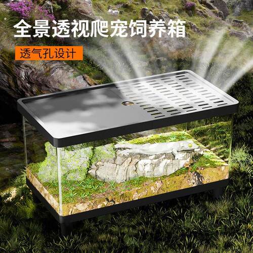 寄居蟹饲养盒子爬宠养殖箱带盖亚克力透明高清全透小型桌面爬宠盒