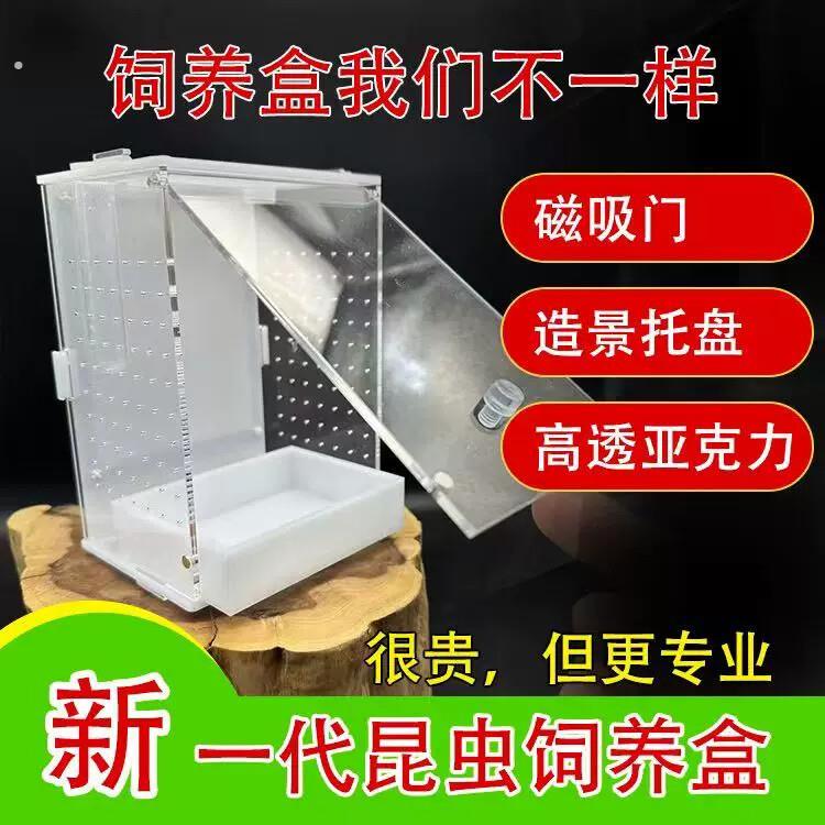 磁吸门生态鸣虫饲养盒竹蛉蜘蛛昆虫盒螳螂罐蝈蝈饲养箱姥爷树蛙