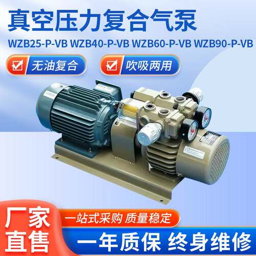 WZB-P-VB泵头真空泵无油真空压力复合气泵吹吸两用气体传输泵