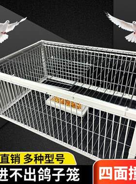捕捉器鸟笼野外捉鸡诱补加密只进