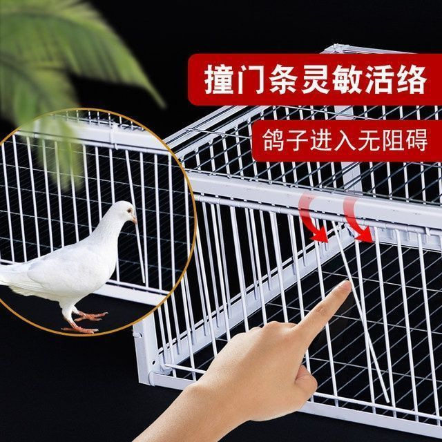 自动活络鸽子跳进不出专用赛鸽门