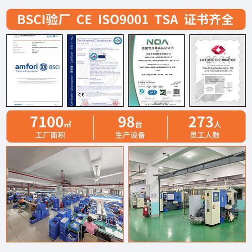 甄选厂家 TSA-319  一字2米箱包打包带 海关密码锁TSA行李带