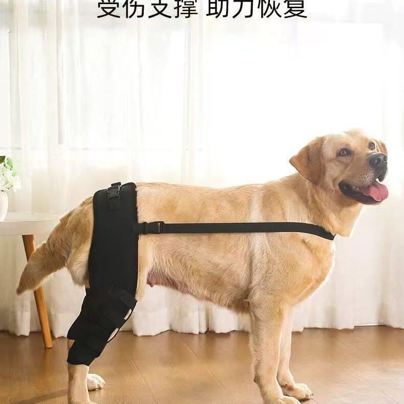 宠物狗狗四季款术后护膝保护套狗狗护腿恢复支撑套中小型犬