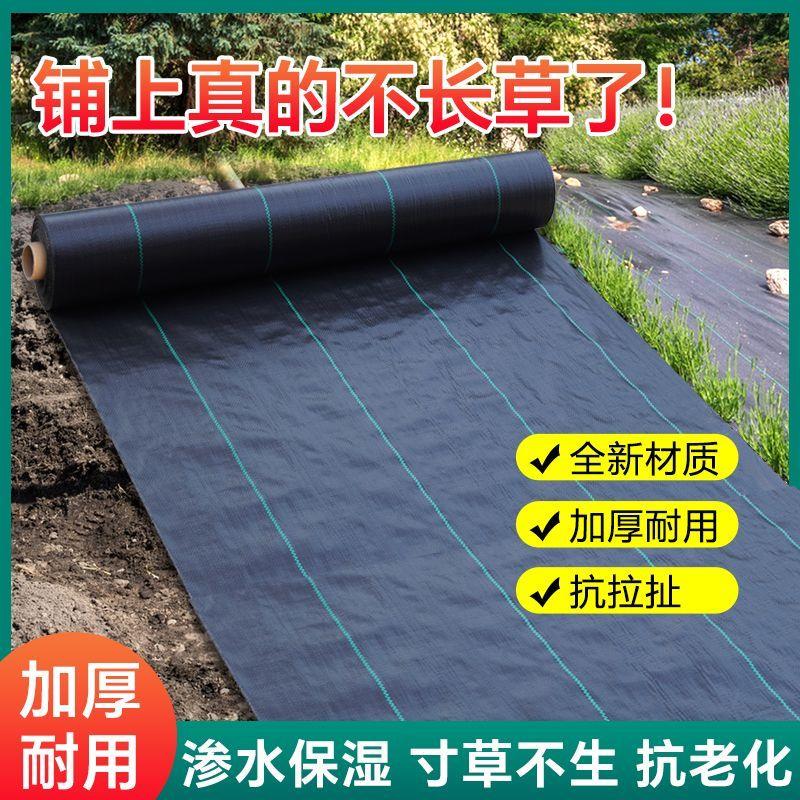防草布农用除草布加厚透气透水抗老化灭草布园艺地布地膜盖草抑草
