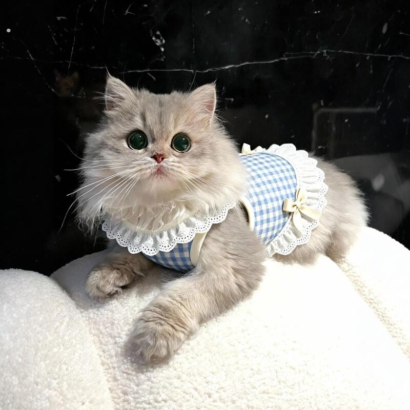 猫咪衣服薄款背心防掉毛布偶猫德文猫宠物狗狗衣服四季通用新款