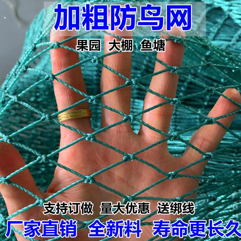 18股2厘米养鸡网家禽养殖网天网围山鸡网防护网菜园围栏网尼龙网