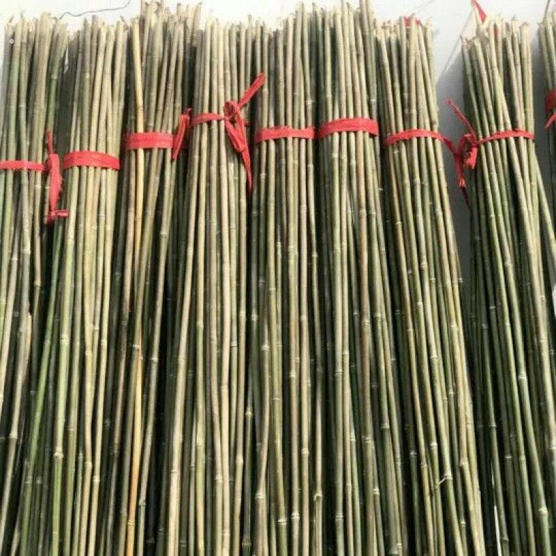 竹竿菜园搭架竹子户外旗杆黄瓜豆角爬藤菜架竹杆支架豇豆搭架杆