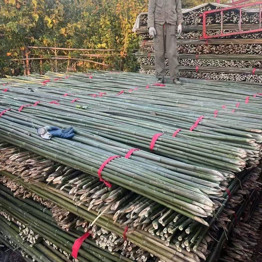 竹竿子菜园搭架爬藤彩旗豆角西红柿黄瓜丝瓜支架