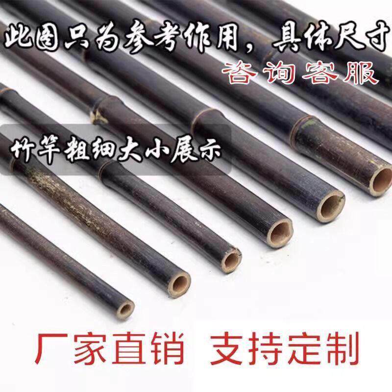 天然紫竹杆料粗细大竹竿教鞭篱笆栅栏文玩老竹子围栏栅栏爬藤装饰