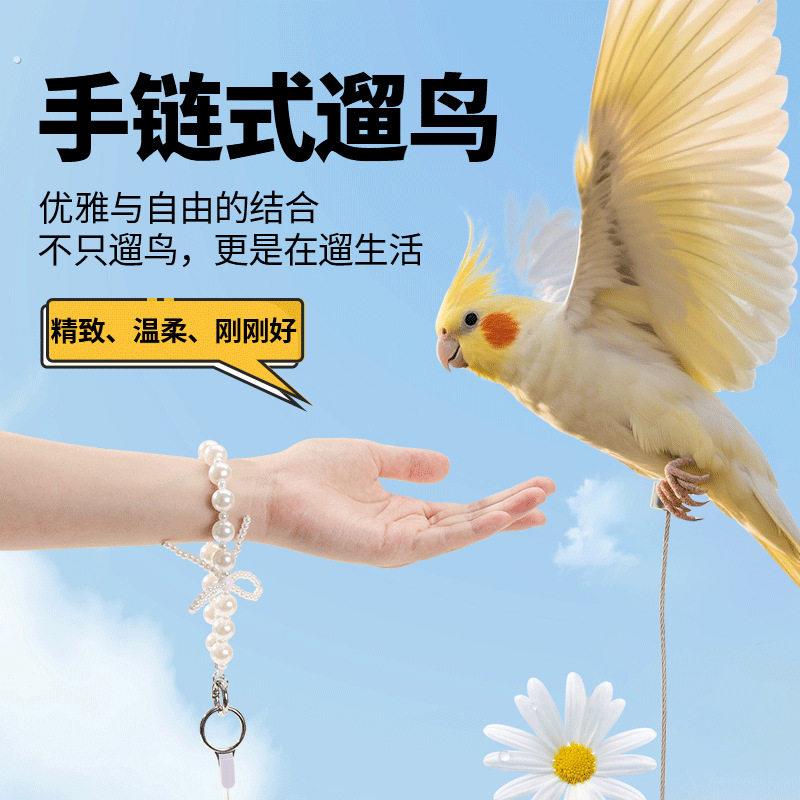 鹦鹉放飞绳不伤脚超轻牵引绳虎皮玄凤牡丹小太阳脚环脚炼遛鸟绳芰