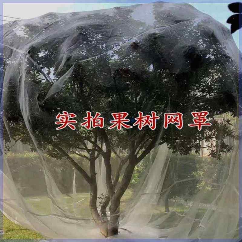果树防虫网果园大棚杨梅樱桃网罩防虫防果蝇莲雾桃树蓝莓家用网套