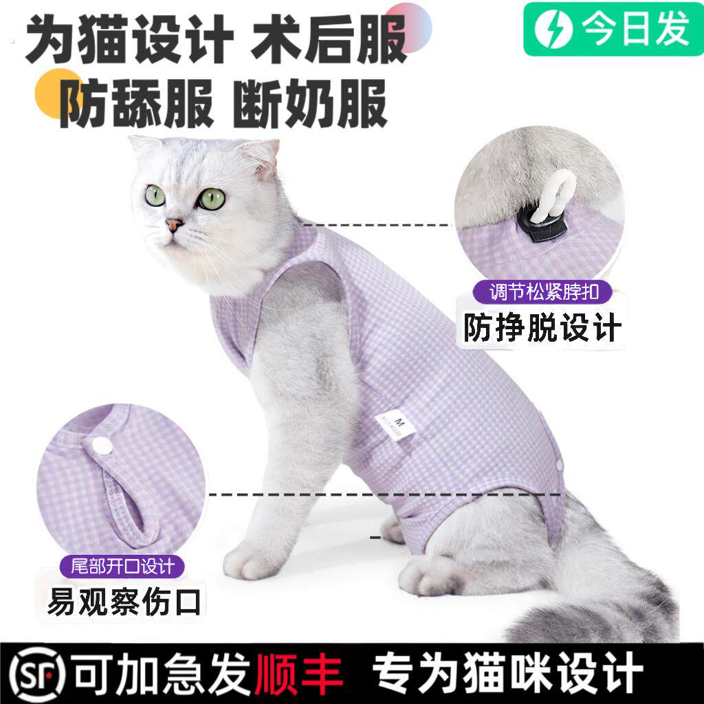 母猫专用猫咪衣服宠物防挣脱绝育服术后服防舔皮肤病护肚子护理服