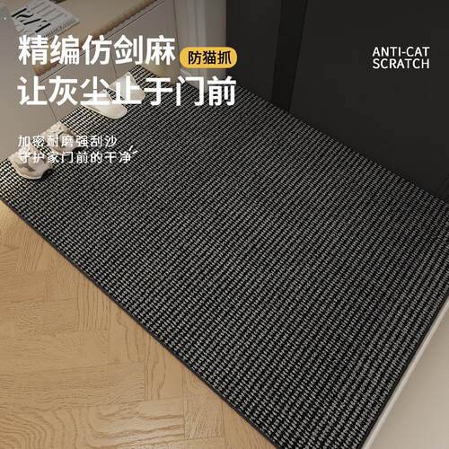 入户门垫2025新款仿剑麻地垫进门厅口入门玄关门外地毯脚垫可裁剪