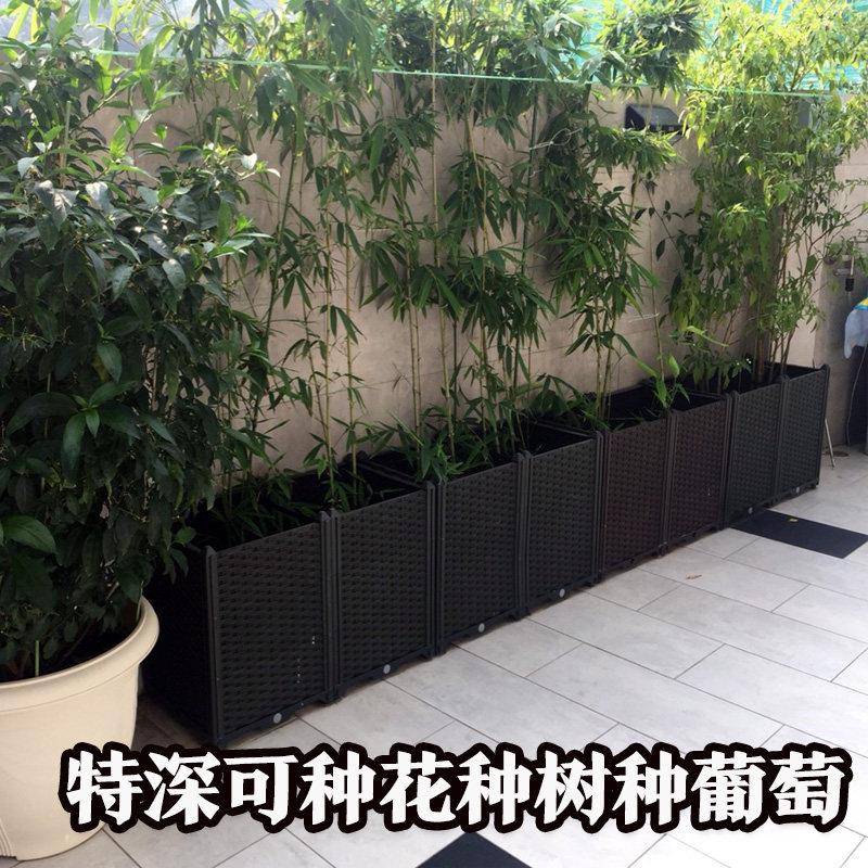 种竹子的专用盆阳台种菜盆家庭特大长条蔬菜种植箱长方形果树葡萄