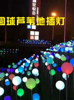 led发光圆球芦苇灯亚克力球灯户外防水草坪灯园林亮化工程地插灯