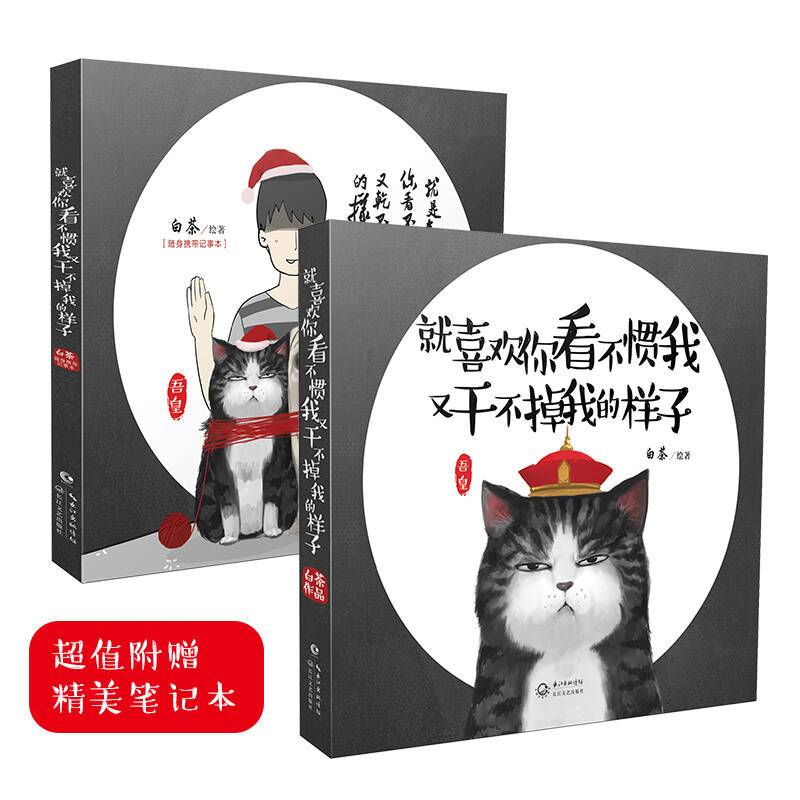 就喜欢你看不惯我又干不掉我的样子1+2 套装全2册  白茶著 经典版