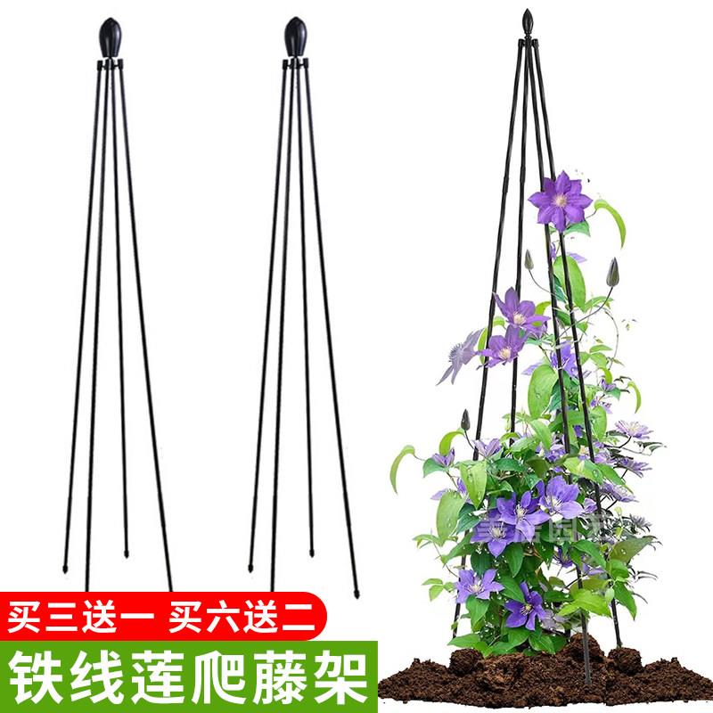 铁线 线莲爬藤架支架四角花塔型花架户外园艺风车茉莉月季专用支
