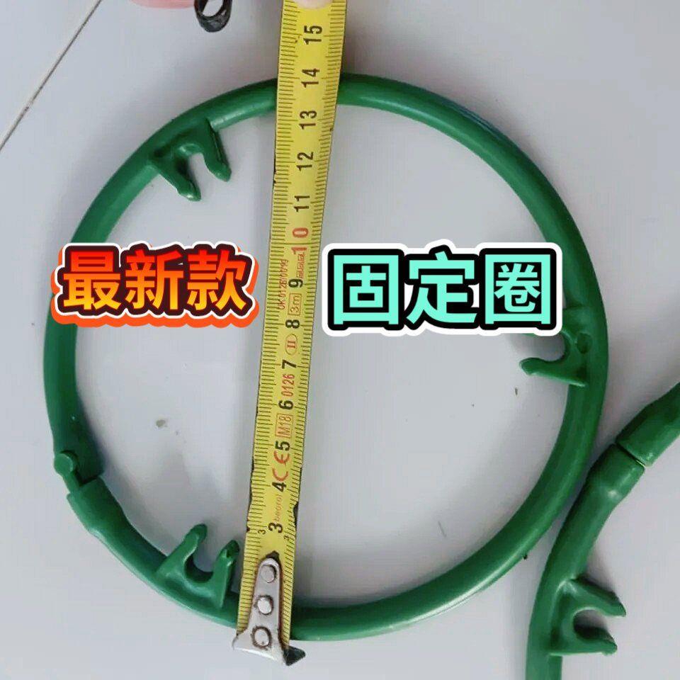 款固定圈 蟹爪兰嫁接花架开口处带自锁卡扣 固定圈叶仙支架