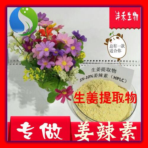 甄选姜辣素1% 5% 10%  厂家现货供应  生姜提取物  生姜粉 沣禾生