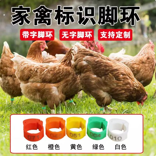 鸡脚环记号卡扣鸡做记号防走失脚圈自动扣芦丁鸡识别扣环鸭子鸟用