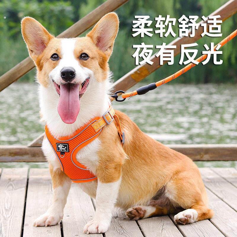 狗狗牵引绳背心式中小型犬柯基专用脖圈遛狗绳可调节胸抱婴袋狗炼
