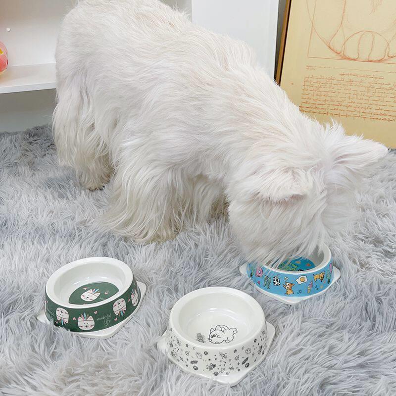 小猫饭碗幼猫小狗防打翻小型犬狗碗宠物粮盆兔子水碗用品