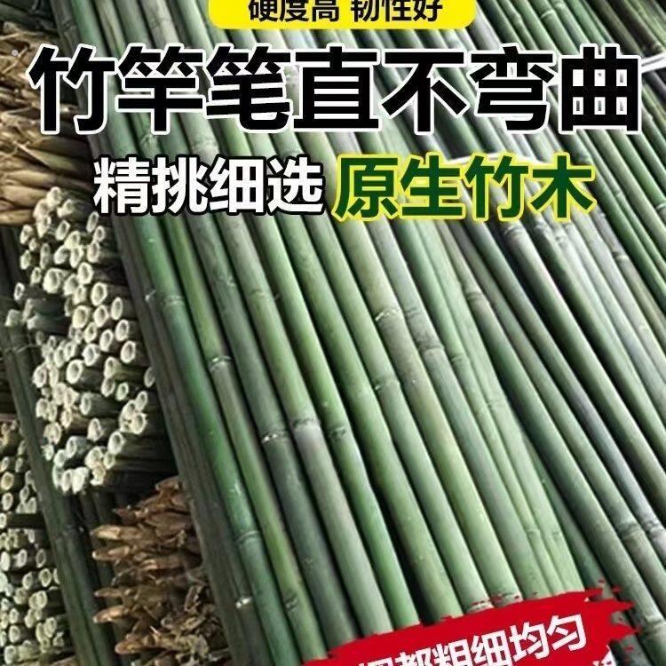 竹竿竹子菜园豆角篱笆藤架蔬菜搭架黄瓜辣椒围栏架子棋杆支架
