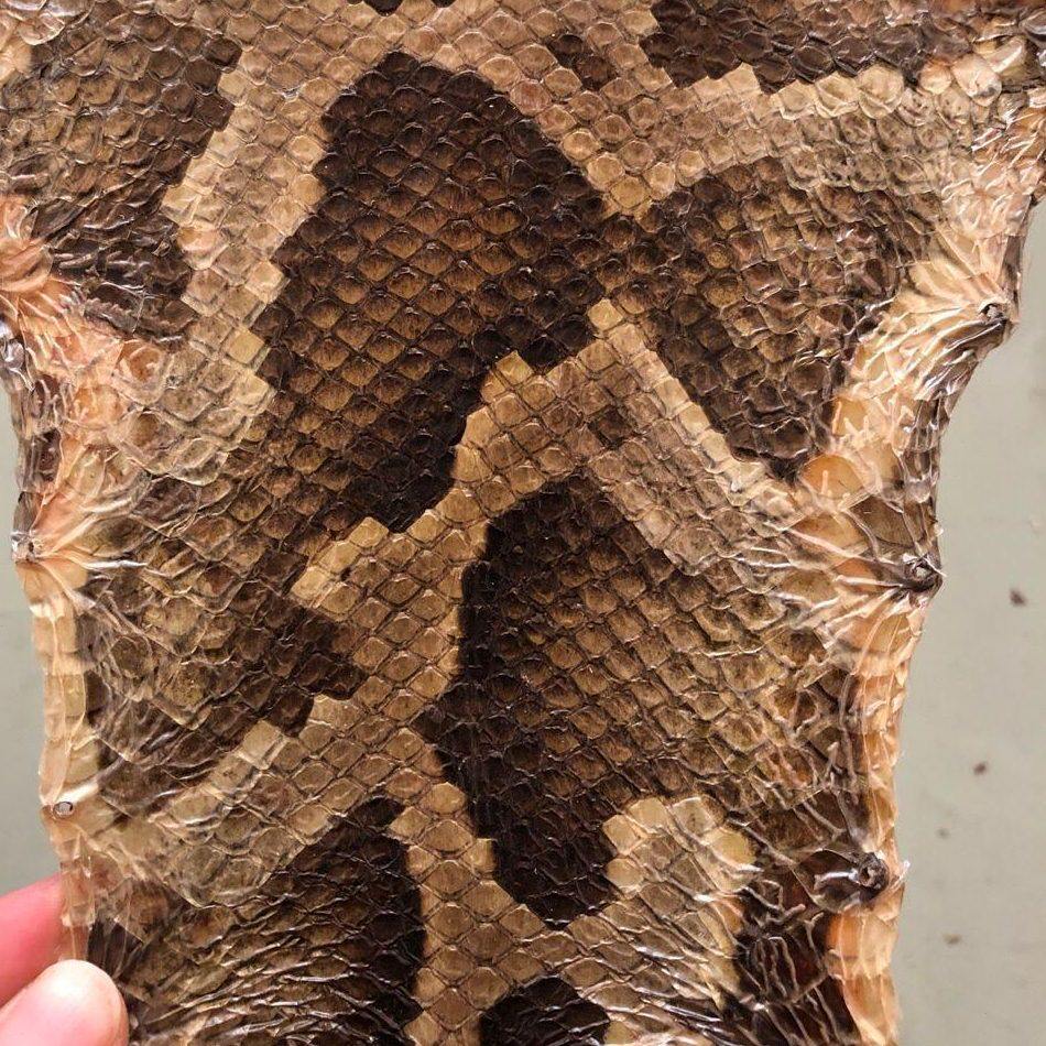 甄选二胡乐器配件二胡莽皮 坠琴胡二胡皮蒙皮琴皮小尾巴皮蟒皮其