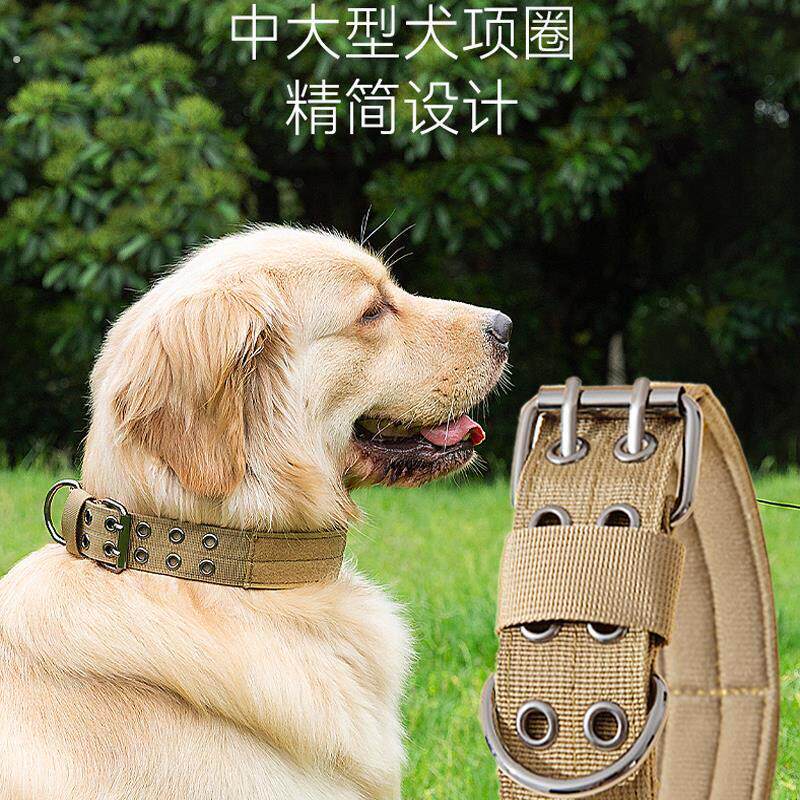 超结实大型犬栓狗狗项圈大狗圈颈圈中型犬马犬专用狗脖圈猛犬脖套