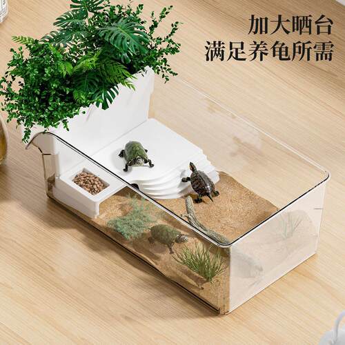 乌龟龟缸家用小型专用箱专用螃蟹生态办公室造景桌面巴西龟饲养