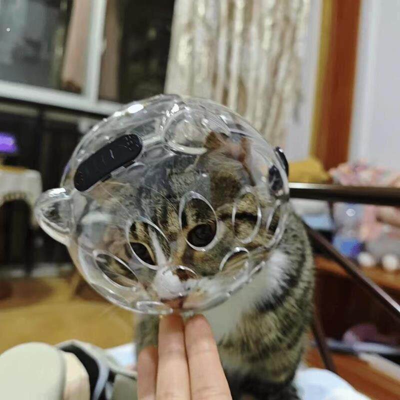 狗狗防毒面罩猫咪防咬头套加深加长狗猫项圈幼猫脖套宠物发圈防舔