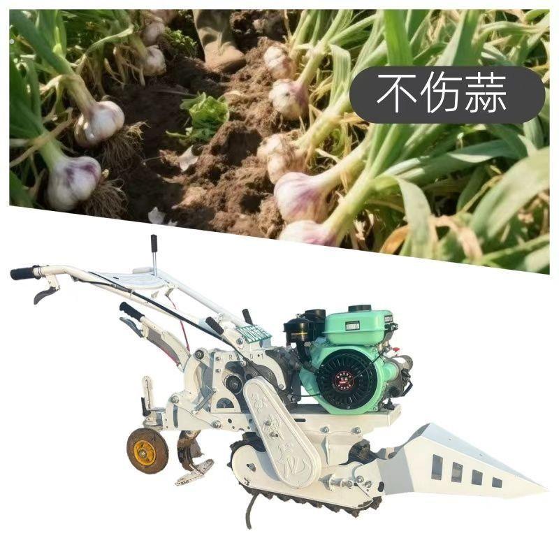 新款大蒜收获机挖蒜机小型出蒜机柴油两行大蒜收获机不伤蒜