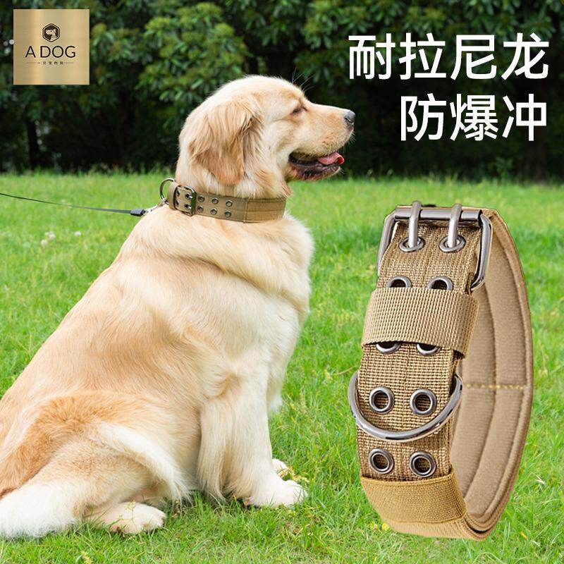 超结实大型犬栓狗狗项圈大狗圈颈圈中型犬马犬专用狗脖圈猛犬脖套