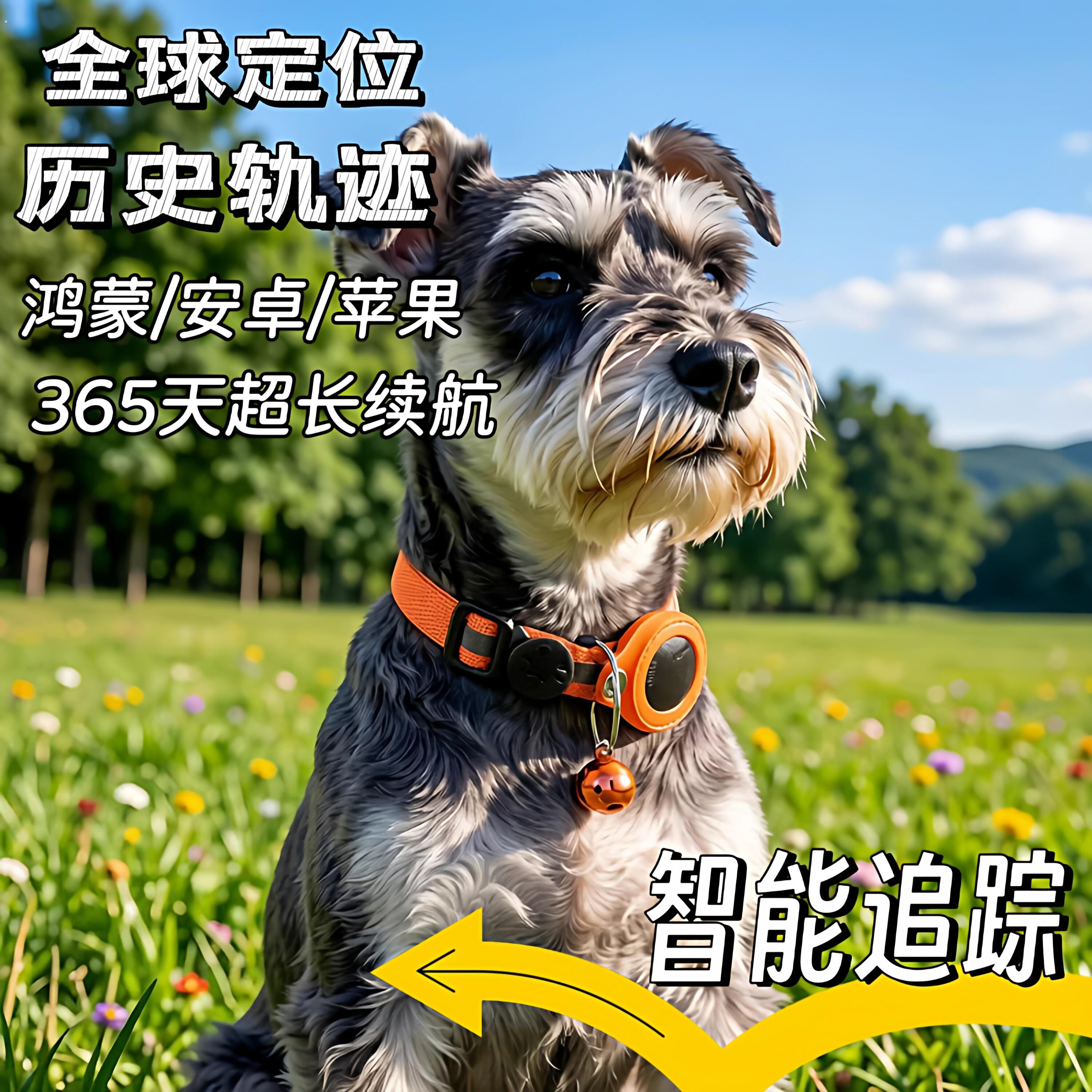 定位项圈狗狗宠物小猫咪牌防走丢失神器可装定位器反光颈圈追踪器