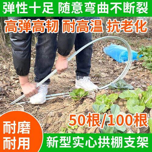 新型玻璃纤维杆种菜家用架子黄瓜豆角支架杆蔬菜瓜果棚拱杆攀爬架