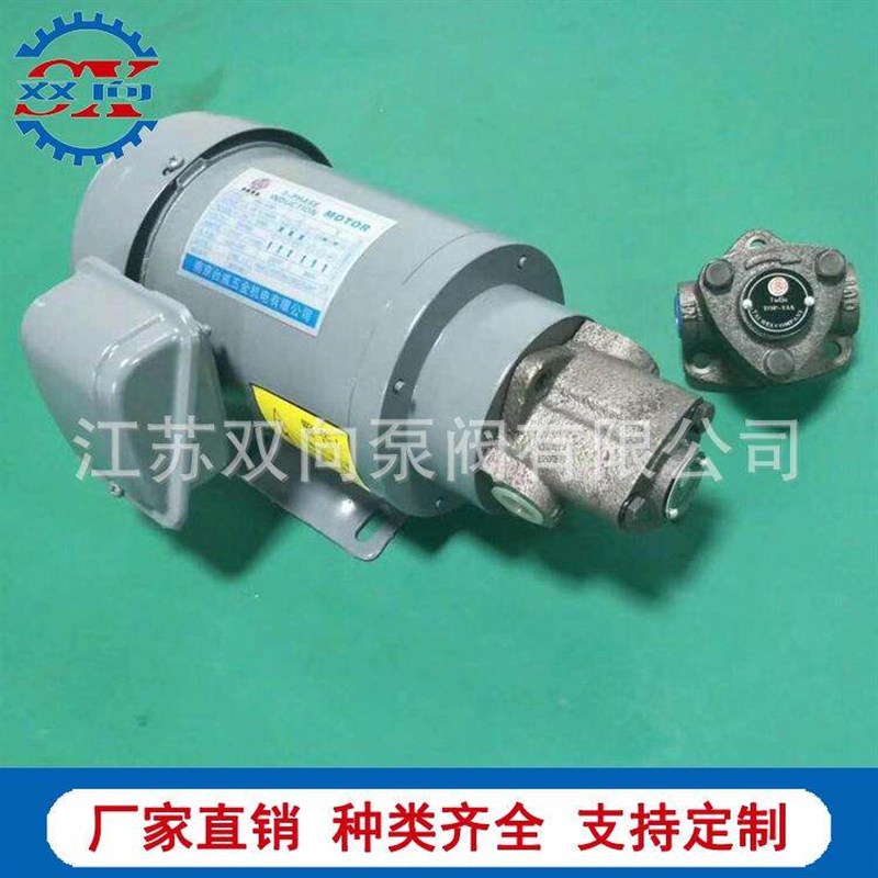双向摆线泵TOP-12A/190WTOP-13A/190W润滑泵电机组装置三角油泵 - 实物图