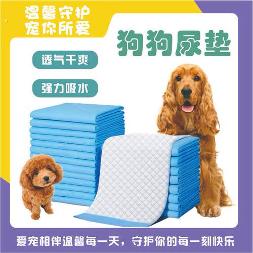 狗狗尿垫加厚吸水防漏干爽隔尿垫一次性尿垫吸尿纸宠物狗专用尿片